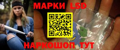 шишки Будённовск